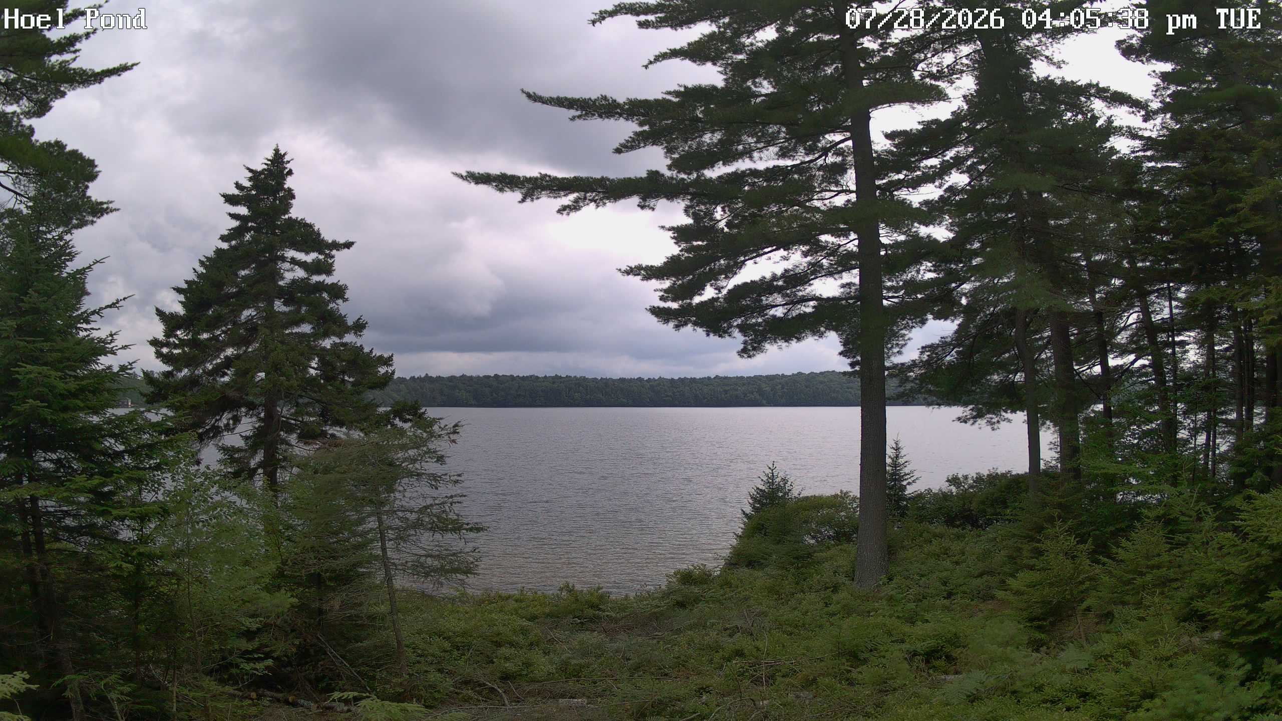 Hoel Pond Webcam view.