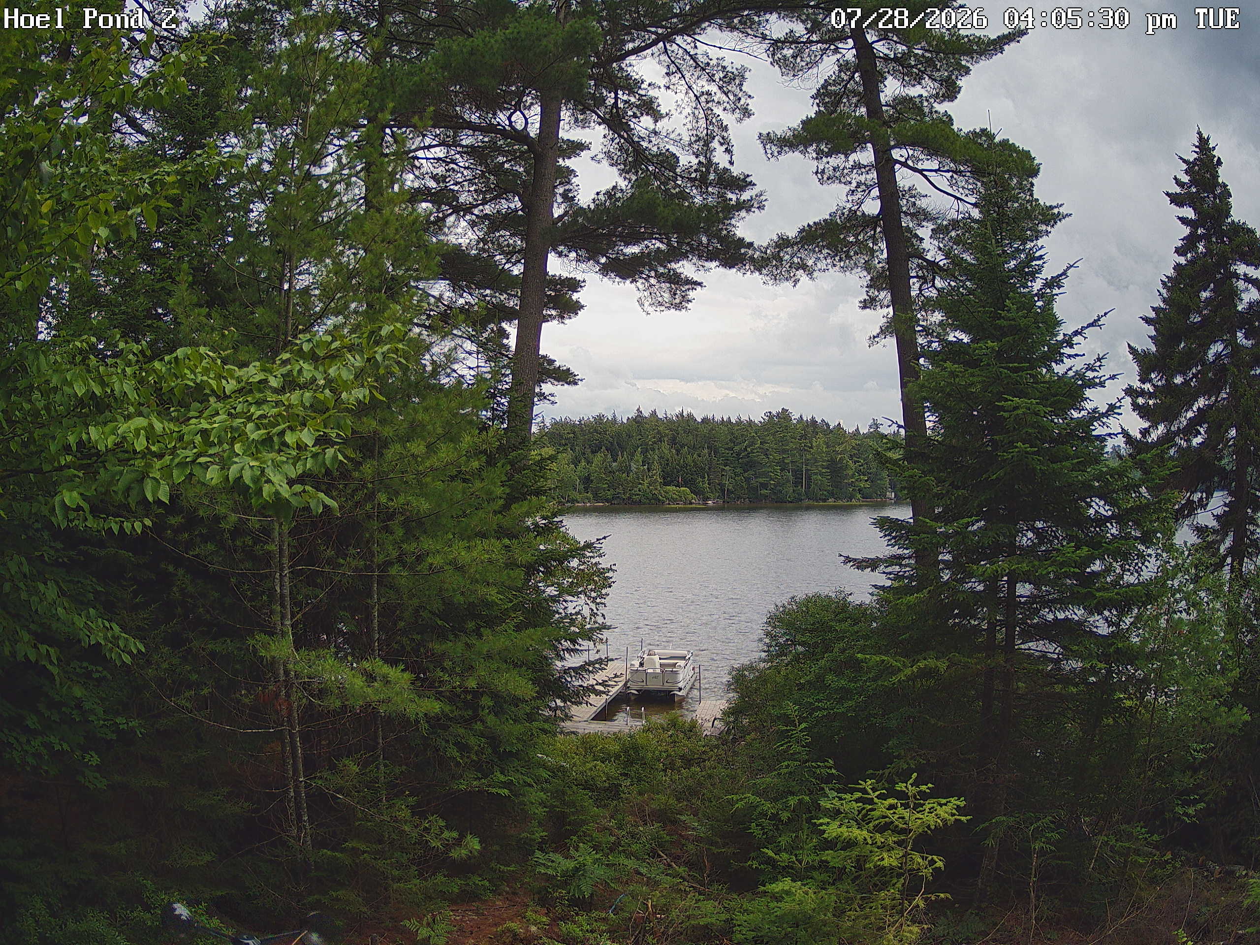 Camera #2 View of Hoel Pond.