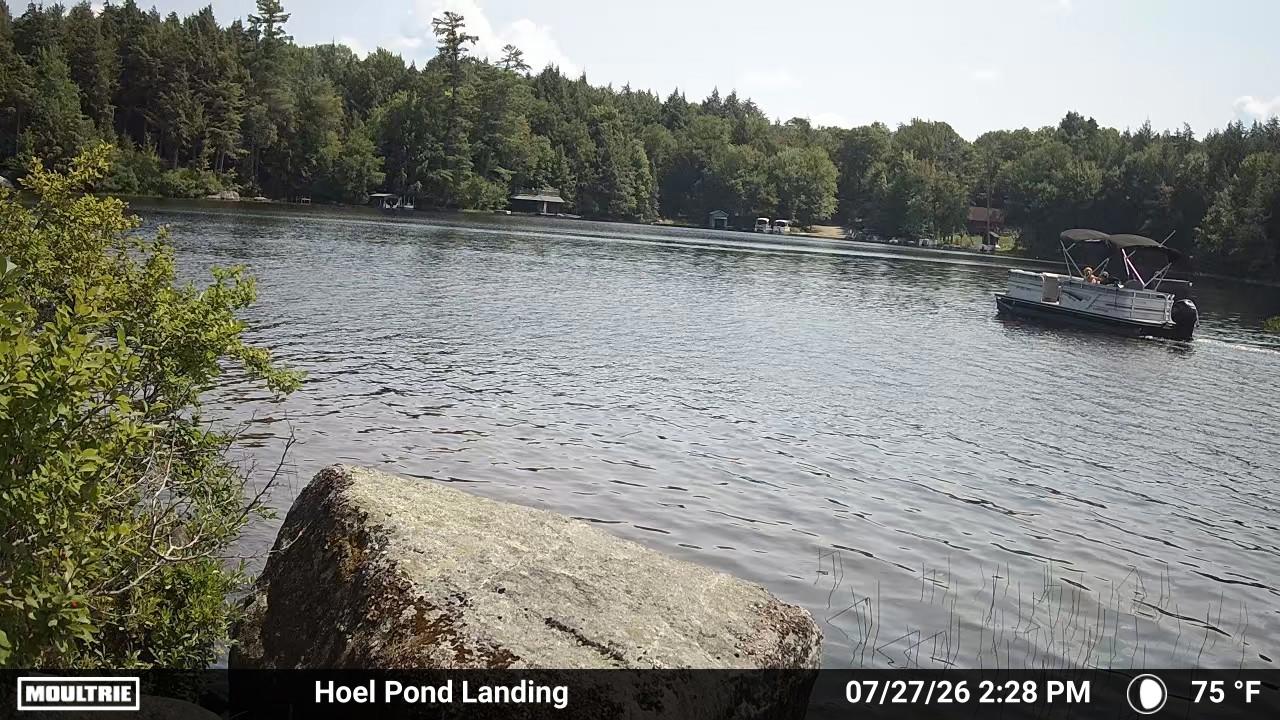 Camera #3 View of Hoel Pond.